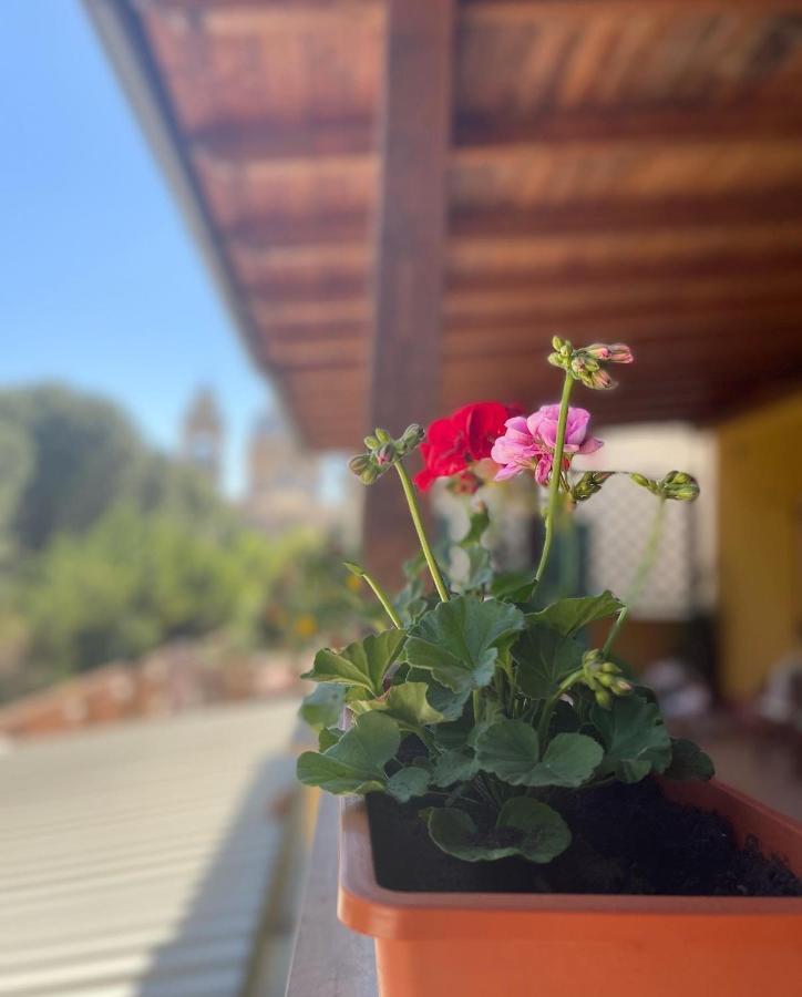 La Terrazza Dei Ciliegi Hotell Santa Maria Degli Angeli  Eksteriør bilde